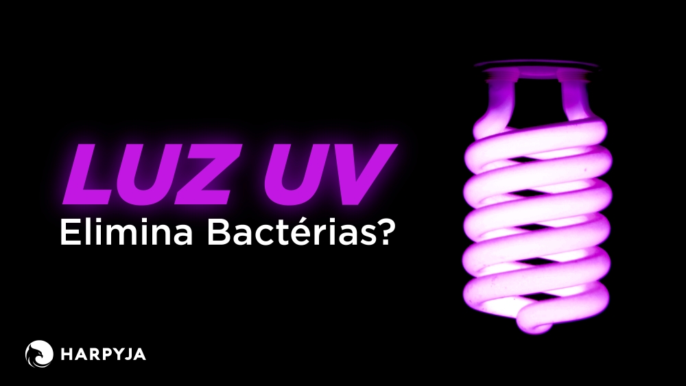Imagem do blog post Luz UV Elimina Bactérias?