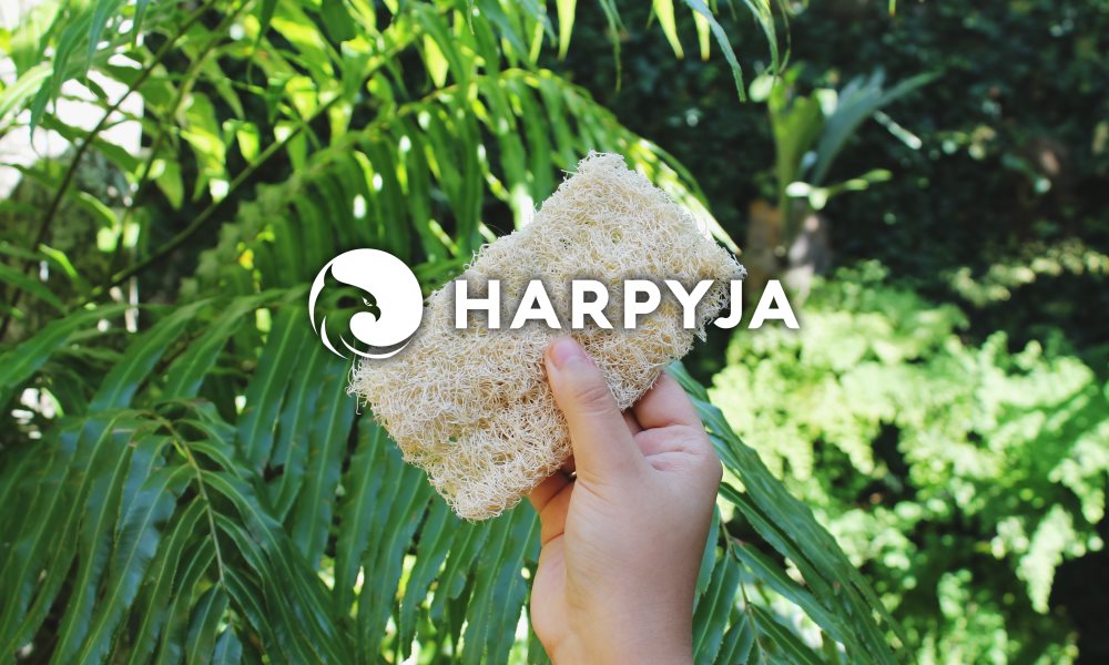 Banner de capa da notícia A Bucha Vegetal e seus benefícios para cozinha (e para o planeta)