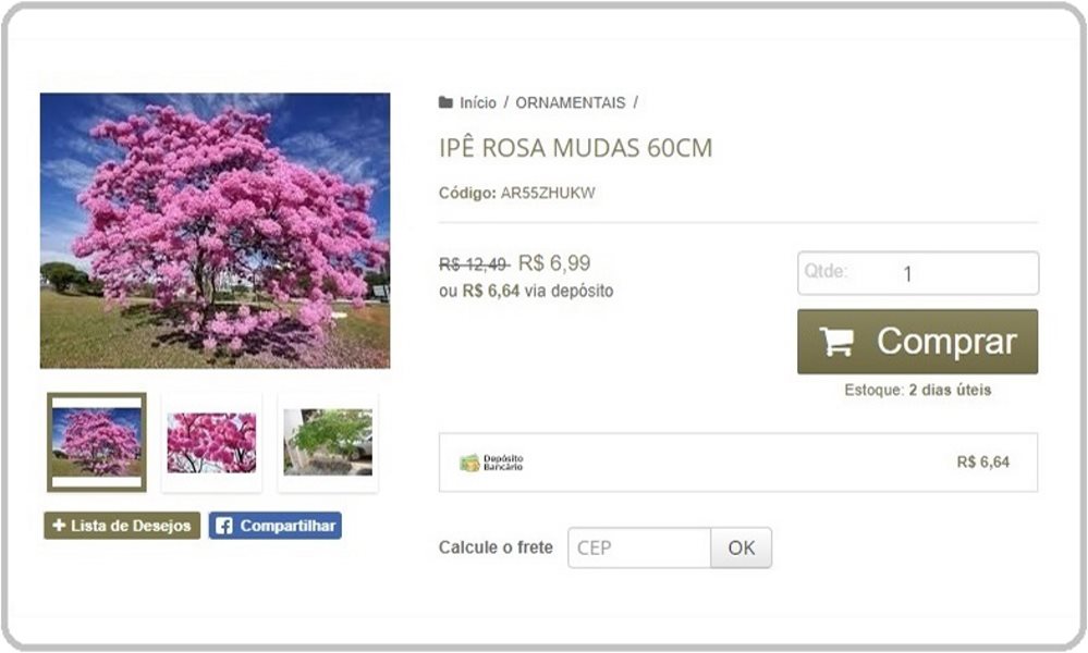 Imagem do blog post O Negócio é Comprar pela Internet!