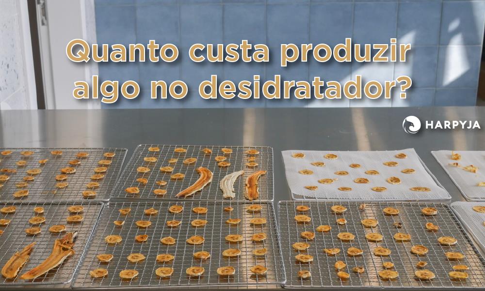 Banner de capa da notícia Quanto custa desidratar alimentos?