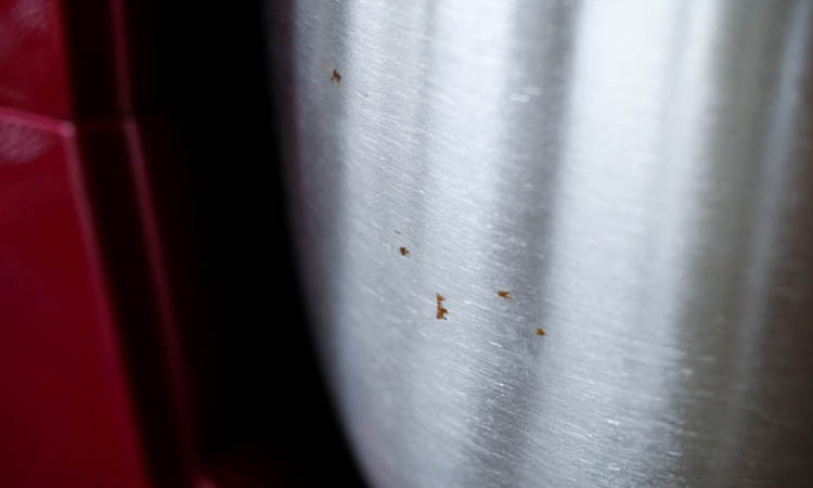 Semp Hype Cherry BA8019VM - Imagem sobre P1350676