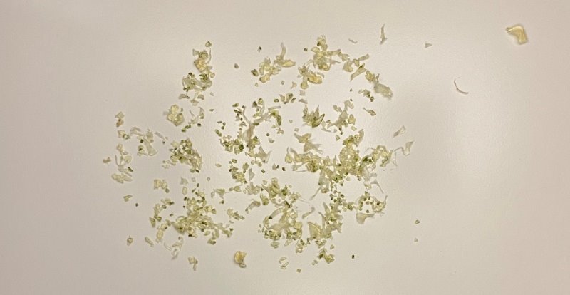 Oster Digital Xpert Series - Imagem sobre cut lime