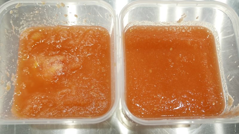 Oster Digital Xpert Series - Imagem sobre com pedaços e sem