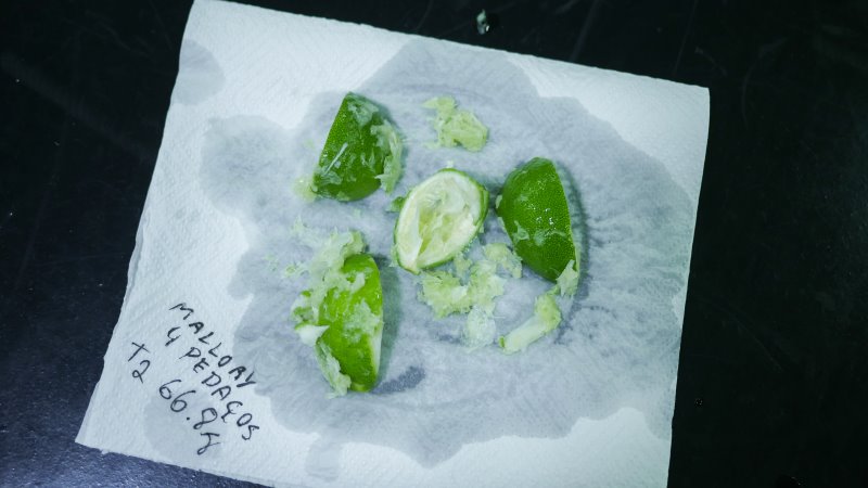 avaliação-mixer-mallory-multifree Mallory Multifree 4 Em 1 Sem Fio - Imagem sobre TXT-Mallory-Mixer_020