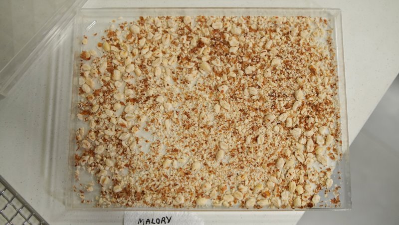 avaliação-mixer-mallory-multifree Mallory Multifree 4 Em 1 Sem Fio - Imagem sobre TXT-Mallory-Mixer_034