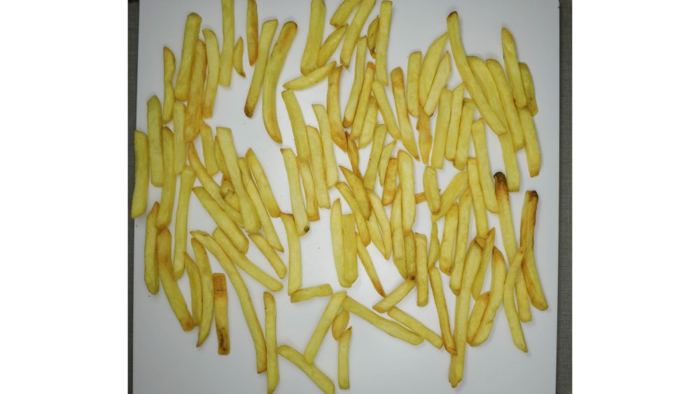 Fischer Dual Grill 4 Litros - Imagem número 5 do post