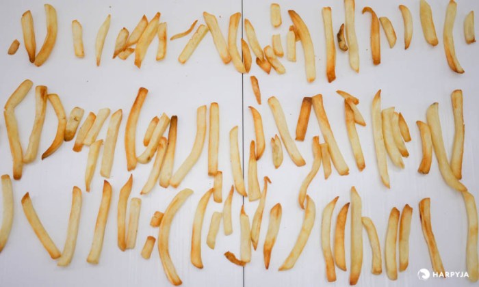 Mondial Family - 3,2L - Inox - Imagem sobre teste-air-fryer-mondial-family-inox-batata-frita