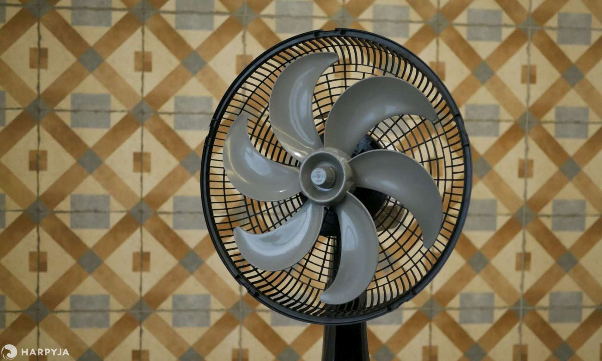 Imagem 2 do produto