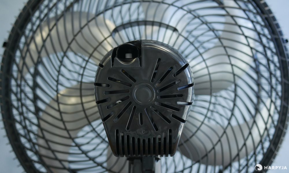 Imagem 14 do produto