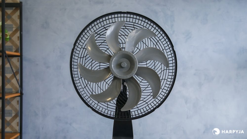 Imagem 7 do produto