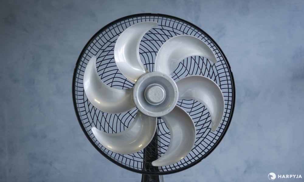 Imagem 8 do produto